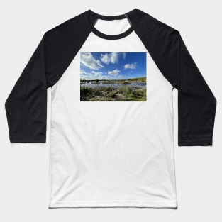 Florida Everglades Baseball T-Shirt